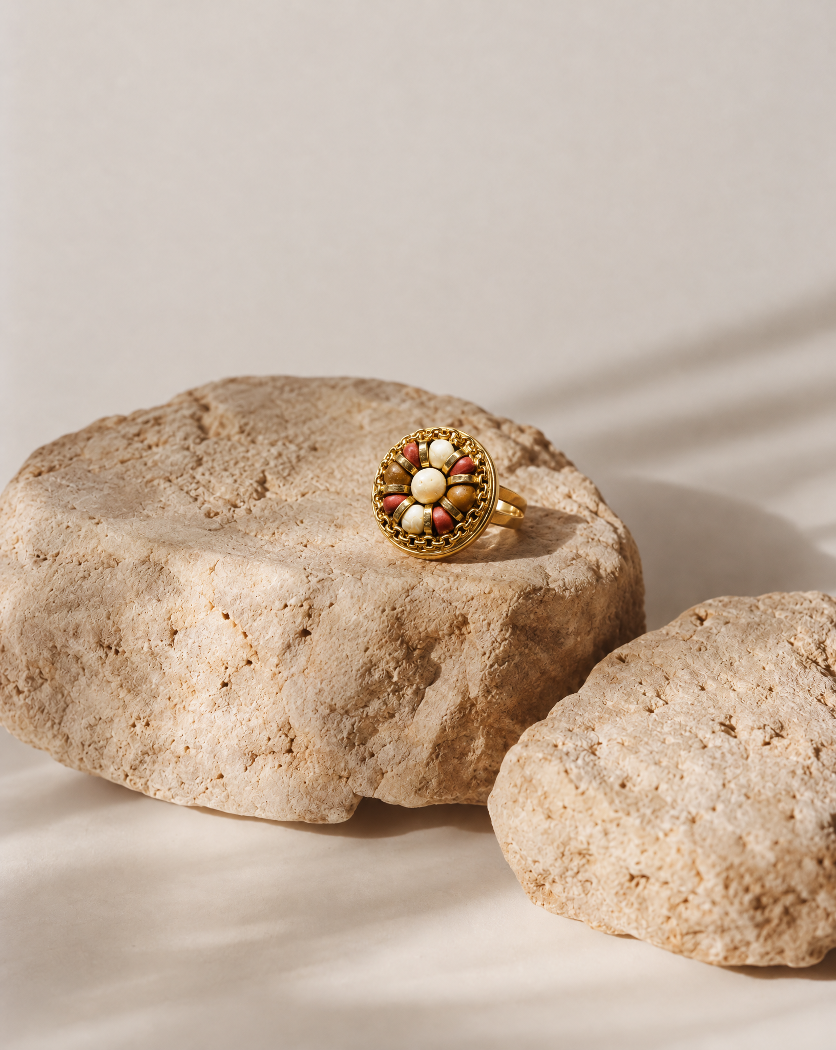 ANILLO JANG